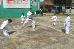 karate